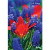 COLINS DIARY A51 FLORAL EVEN YEAR