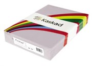 KASKAD COLOURED PAPER A4 160GSM SKYLARK VIOLET PACK 250